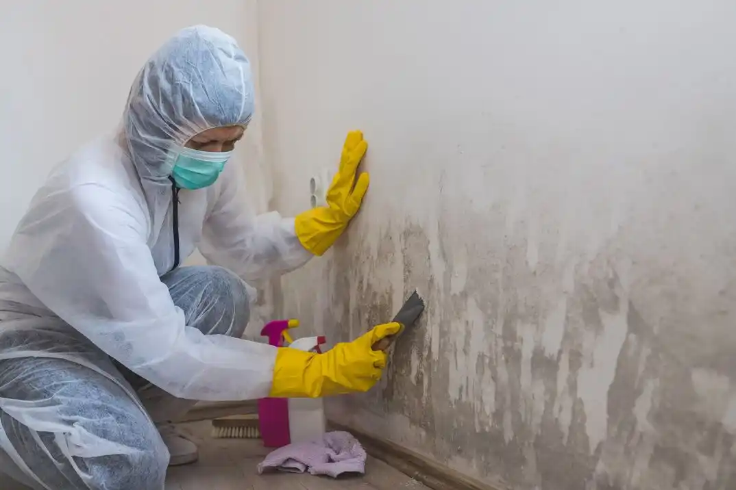 water damage restoration service Windsordale